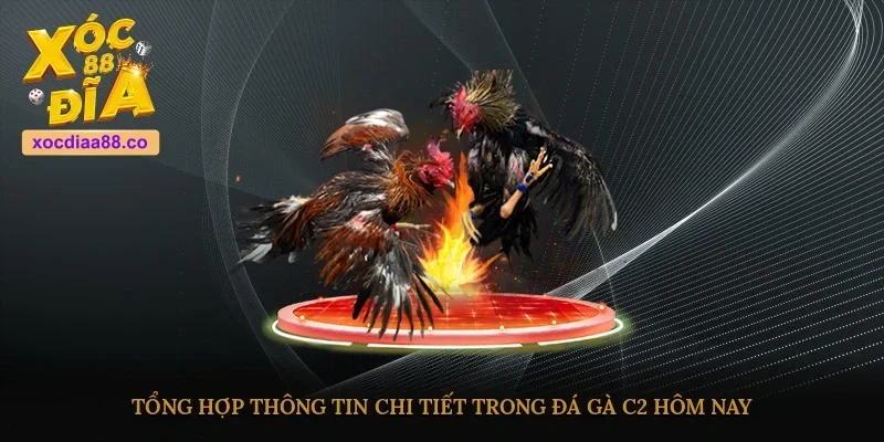Tổng hợp thông tin chi tiết trong đá gà C2 hôm nay